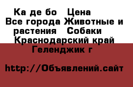 Ка де бо › Цена ­ 25 - Все города Животные и растения » Собаки   . Краснодарский край,Геленджик г.